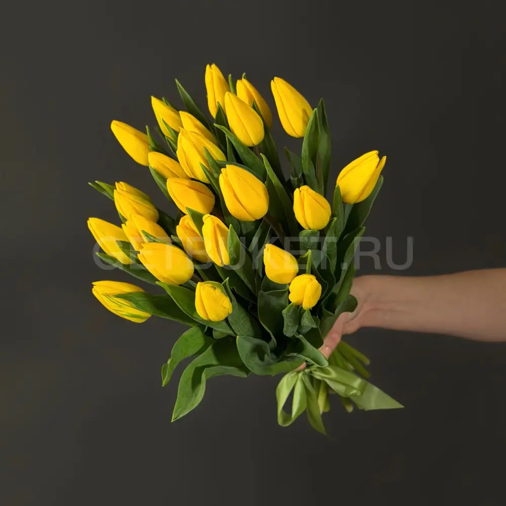 223599 Букет из 25 желтых тюльпанов